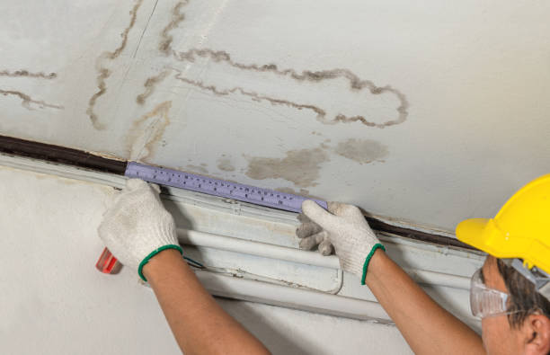 Reliable Structural Drying contractor in Cloverdale, VA by Water Damage Irwin